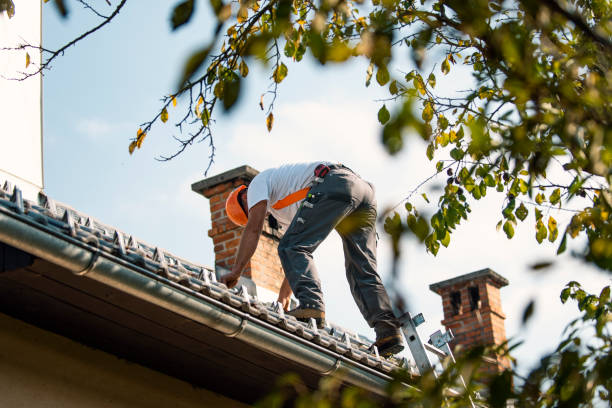 Best Residential Roof Replacement  in Ferris, TX