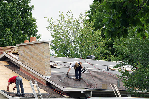 Best Roof Maintenance Services  in Ferris, TX