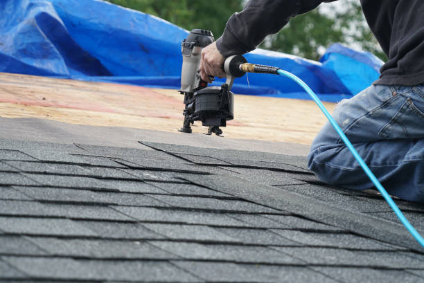 Best Roof Repair Specialists  in Ferris, TX